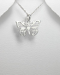 Hopeariipus - Butterfly Bright