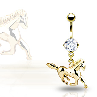 Napakoru - Goldline Horse