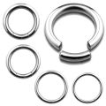 Rengas - Segment Ring