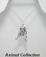 Animal Collection